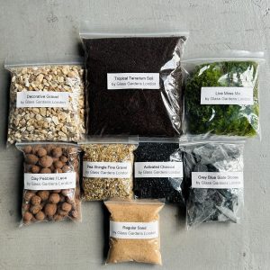 Com bo terrarium cho người mới