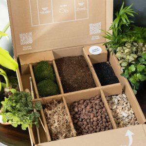Nguyên liệu làm Terrarium